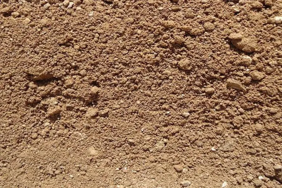 TERRA VEGETAL SOBRITAS